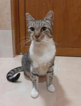 Rico in Bulgarien - Ingolstadt