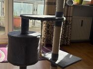 Katzenbaum / Kratzbaum abzugeben - Düsseldorf