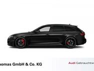 Audi RS4, Avant Competition Feinnappa, Jahr 2024 - Celle