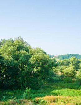 Balkonblick ins Grüne - Sulza