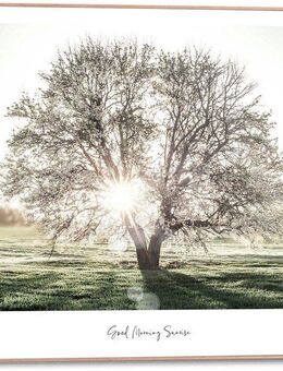 Reinders! Poster Morgensonne