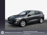 Ford Kuga 1.5 EcoBoost TITANIUM X - Magdeburg