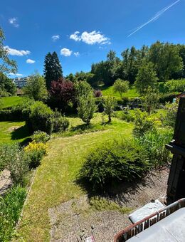 Kleingarten/ Schrebergarten - Solingen (Klingenstadt)
