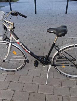 Sehr Schöner Damenfahrrad - Kelsterbach