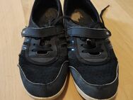 Adidas Sneaker abzugeben, getragene Schuhe - Bad Neustadt (Saale)