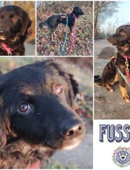 FUSSEL *ich geh mit Dir wohin Du willst - Duisburg