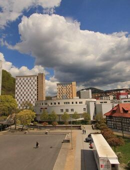 Wohnung mit Weitblick - Entspannen Sie Ihre Augen! - Suhl
