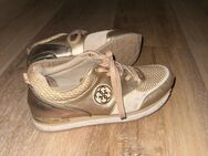 Getragene Guess Sneaker - Schwabach