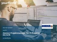 (Senior) Projektmanager für IT-Projekte (m/w/d) - Müllheim