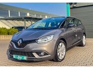 Renault Grand Scenic - Niederzier