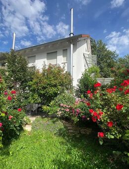 Gepflegtes Reihenhaus - einziehen und wohlfühlen - Eschbach (Baden-Württemberg)