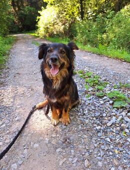 Schöner Teri - Ellerbek