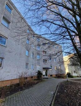 Im Sommer hinein, mit modernem Design! - Braunschweig