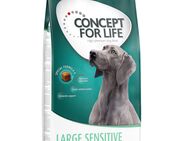 12 kg Concept for Life zum Sonderpreis! - Large Sensitive