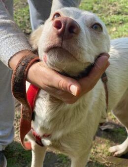Dana wartet auf ihre Entdeckung - Marienfließ