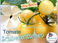 ♥ Tomate Schneewittchen Samen,Alte Sorte,Tulpenstolz Garten Seeds,samenfest,gelb,weiß,robuste Erhaltersorte in 22457