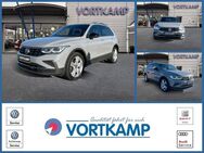 VW Tiguan, Active IQLight AID KeylessAccess, Jahr 2021 - Gronau (Westfalen)