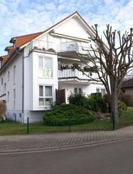 Sonnige 3 ZKBB 70 m² mit Blick auf die Weinberge in Wörrstadt/Sulzheim - Sulzheim (Rheinland-Pfalz)