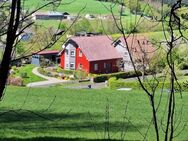 Gemütliches Zuhause in Ruhelage und direkter Grenznähe zu Luxemburg. - Übereisenbach