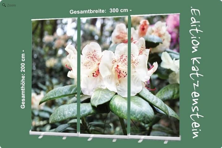 Bestatterbedarf: Roll-Up Display Set "Rhododendron Blüten in Hellgelb - Dekoration für Trauerhallen - Bestattungszubehör - Wilhelmshaven Zentrum