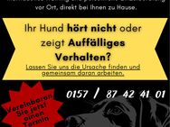 Hundetraining und Therapie, Tierpsychologie Malorny - Mönchengladbach