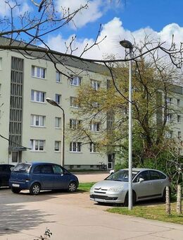 Sanierte 3-Zimmer-Wohnung in Kemberg - Kemberg