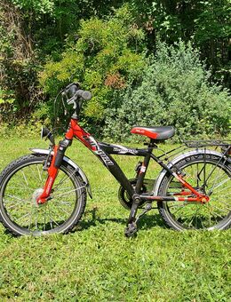 Winora kinderrad,rad,fahrrad 20 zoll - Gräfelfing