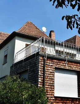 Ein Rohdiamant auf eigenem Parkgrundstück ! - Kitzingen