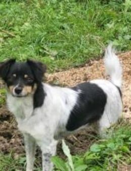 Indira sucht ihre glückliche Zukunft - München