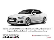 Audi A5, Cabrio 40 TFSI S-line, Jahr 2024 - Verden (Aller)