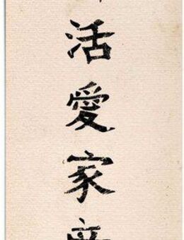 Reinders! Poster Japanische Schrift, (1 St)