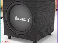 12 Zoll aktiv 300 Watt Peak Power Subwoofer von ibass - Eckental