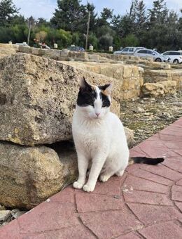 Crystal - kommt aus ihrem Schneckenhaus - Kirchheim (München)