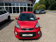 Kia Picanto 1.2 Intro Edition - Bückeburg