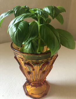 Vase Glas Bernstein Glas Art Deco - Berlin Lichtenberg