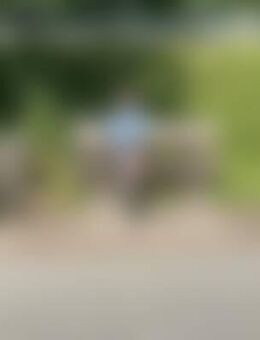 SAA*** - Senftenberg