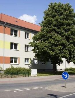 Wohnungsangebot Schilfbreite 37 - Magdeburg