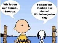 Wenn nicht jetzt wann dann? - Syke