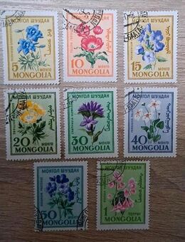 Briefmarken Mongolei 1960 Blumen Satz komplett gestempelt - Görlitz