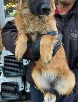 Hellen & Hillary - Oerlenbach