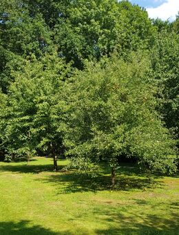 Gartenhilfe gesucht - Rheurdt