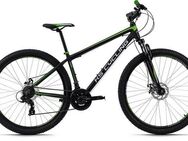 KS Cycling Mountainbike Xceed, 21 Gang Shimano Tourney Schaltwerk, Kettenschaltung, für Herren, Kettenschaltung