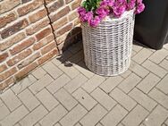 Kunststoff Blumen zu verkaufen - Ahlen Zentrum