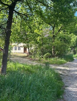 Idyllische, ruhige Fast-Alleinlage: Kernsanierungsbedürftiges, ehemaliges Mühlenanwesen mit baurechtlich genehmigter Erweiterungsmöglichkeit! - Haunetal