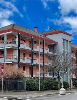 Toll ausgestattete 1 Zimmer Wohnung im Zentrum von Freiburg - Freiburg (Breisgau)