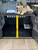 BMW/Renault Kleinmetall Hundebox VarioCage Doppelbox *Borgmann* in 47803