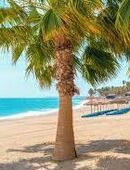 SIE für Urlaub in Andalusien gesucht in 45127