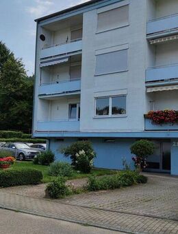 Komplett saniert - 3 Zi - Balkon - PKW Stellplatz - ruhig und naturnah - Neckargemünd