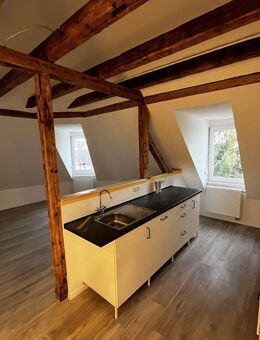 Traumhafte Loft-Wohnung am Schwetzinger Schlossplatz - Schwetzingen