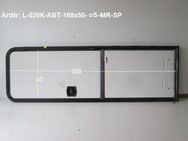 LMC Wohnwagentür / Aufbautür ca. 168 x 50 ohne Schlüssel mit Rahmen gebr. (zB 520K) Sonderpreis - Schotten Zentrum